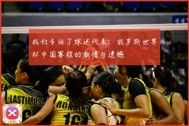 我们专访了球迷代表：俄罗斯世界杯中国赛程的激情与遗憾