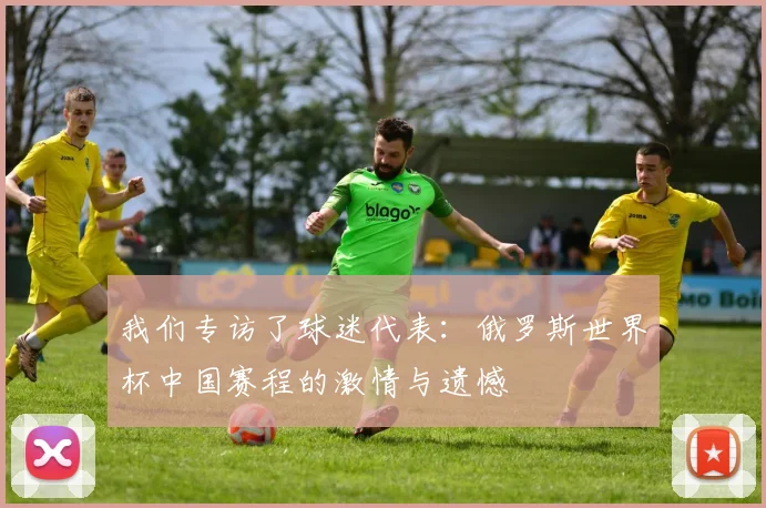 我们专访了球迷代表：俄罗斯世界杯中国赛程的激情与遗憾