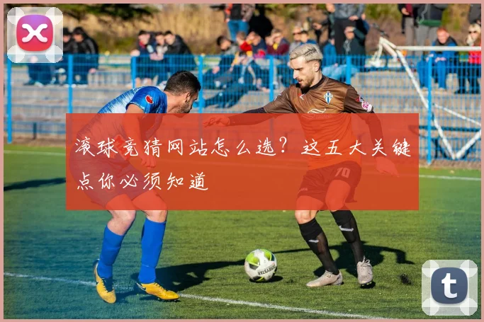 滚球竞猜网站怎么选？这五大关键点你必须知道