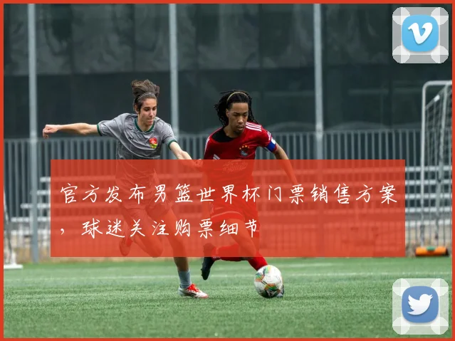 官方发布男篮世界杯门票销售方案，球迷关注购票细节
