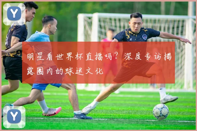 明星看世界杯直播吗？深度专访揭露圈内的球迷文化