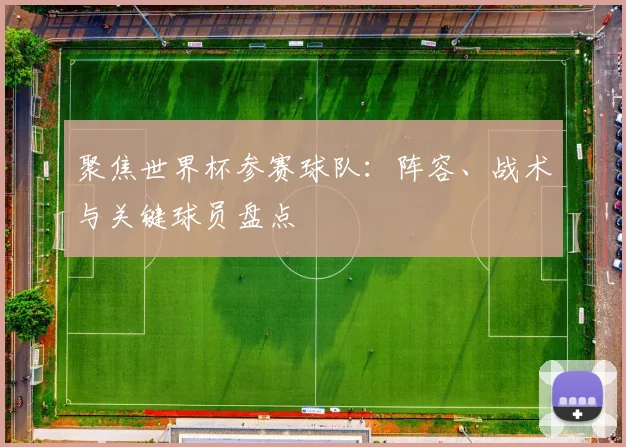 聚焦世界杯参赛球队：阵容、战术与关键球员盘点